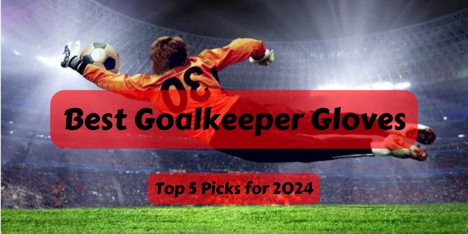 Best Goalkeeper Gloves 2024